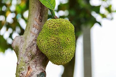 深蓝航天：明年择机完成“星云-1”运载火箭第一次入轨发射回收任务